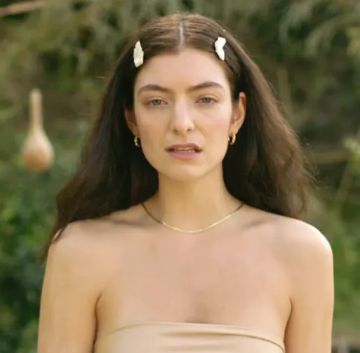 lorde photo