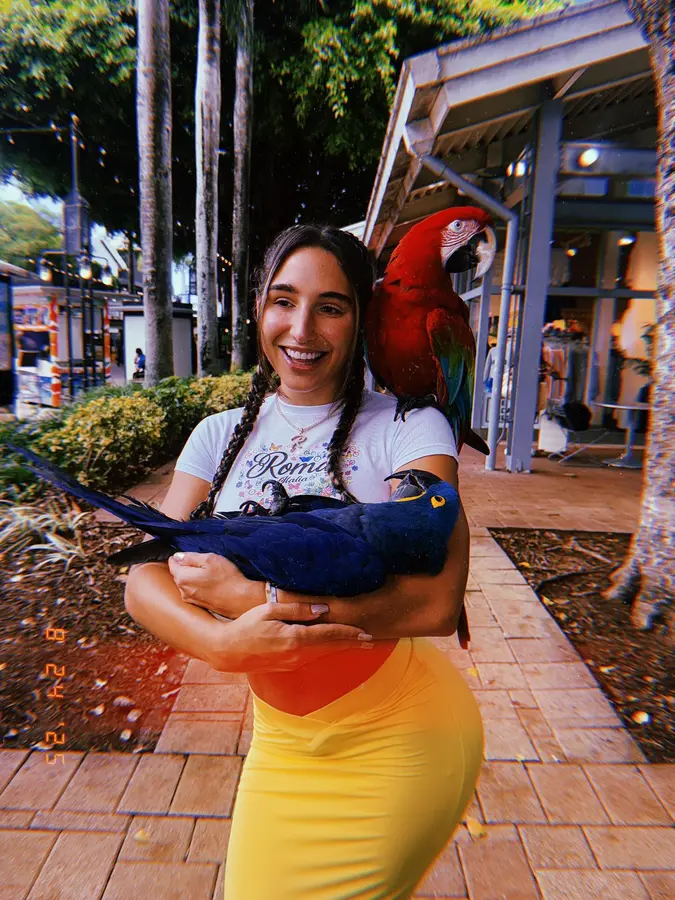 Abella Danger