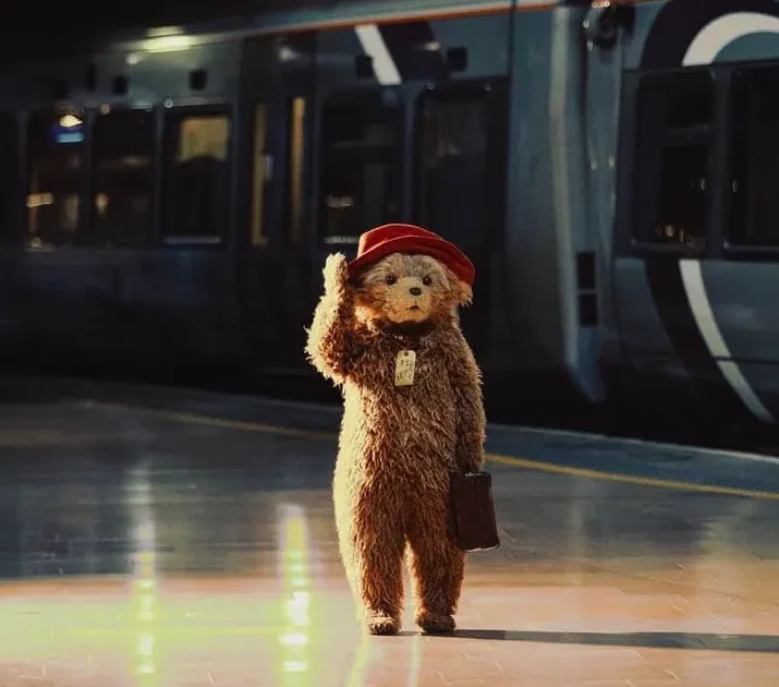 Arti Shah as Paddington Bear